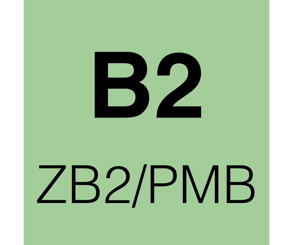 ZB2 Modellsatzbroschüre Pflege und medizinische Berufe - Audio